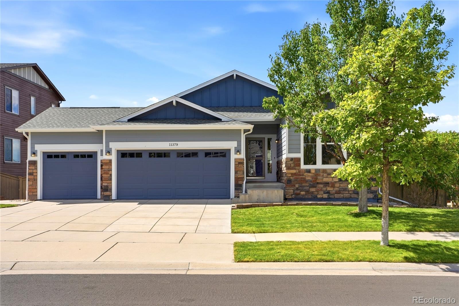 MLS Image #2 for 11379  lovage way,parker, Colorado