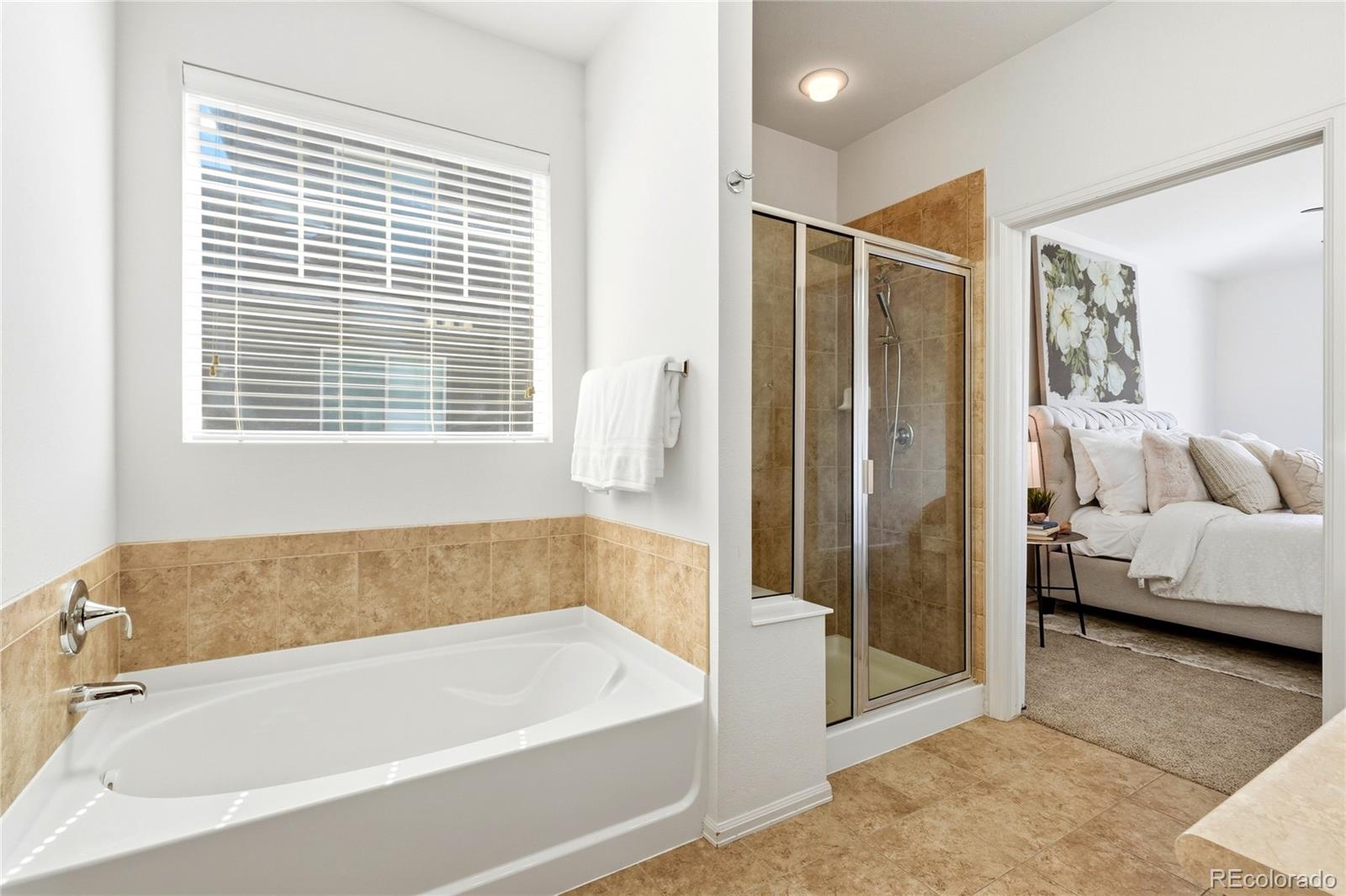 MLS Image #21 for 11379  lovage way,parker, Colorado