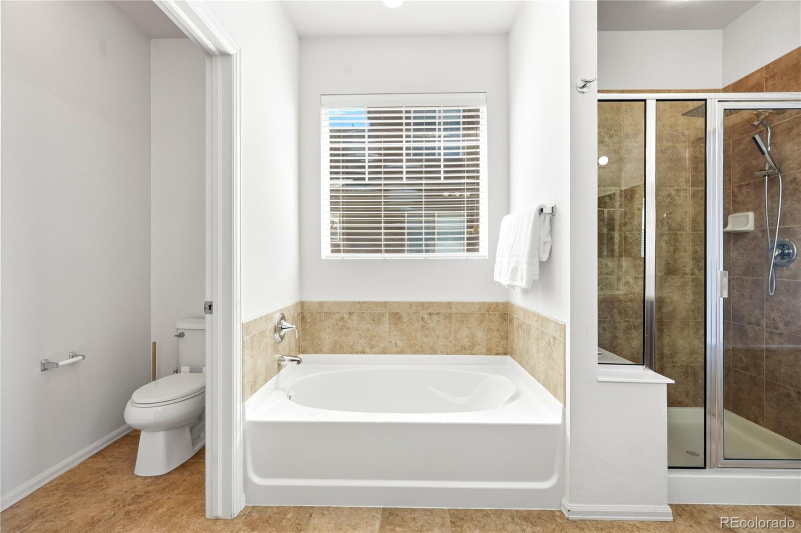 MLS Image #22 for 11379  lovage way,parker, Colorado