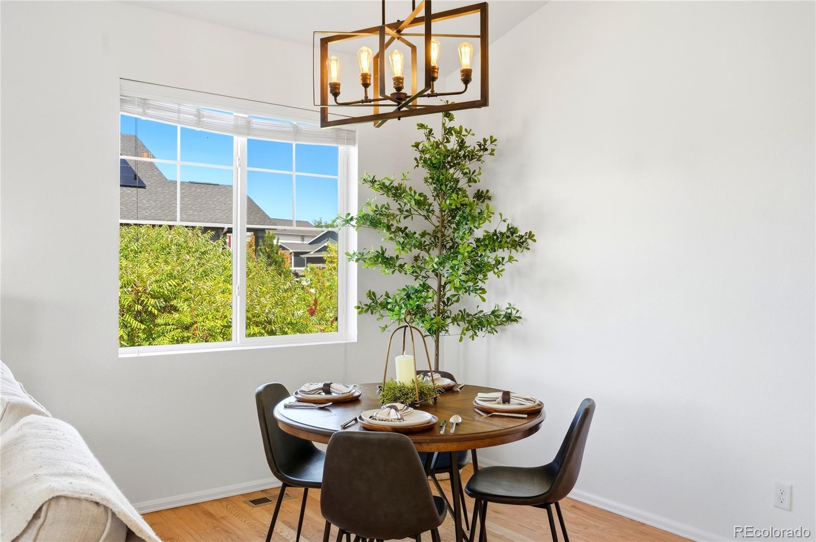 MLS Image #29 for 11379  lovage way,parker, Colorado