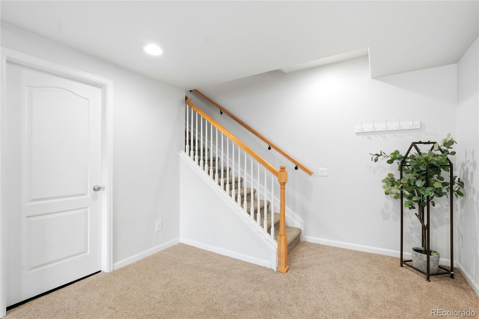 MLS Image #30 for 11379  lovage way,parker, Colorado