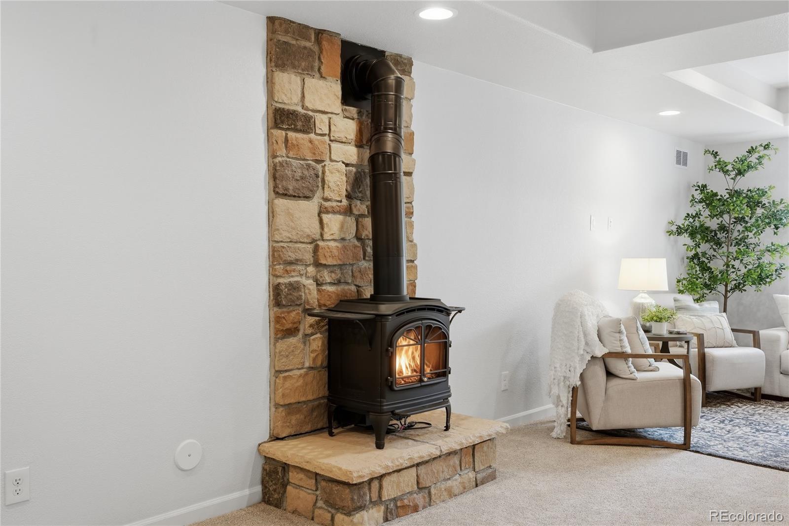 MLS Image #32 for 11379  lovage way,parker, Colorado