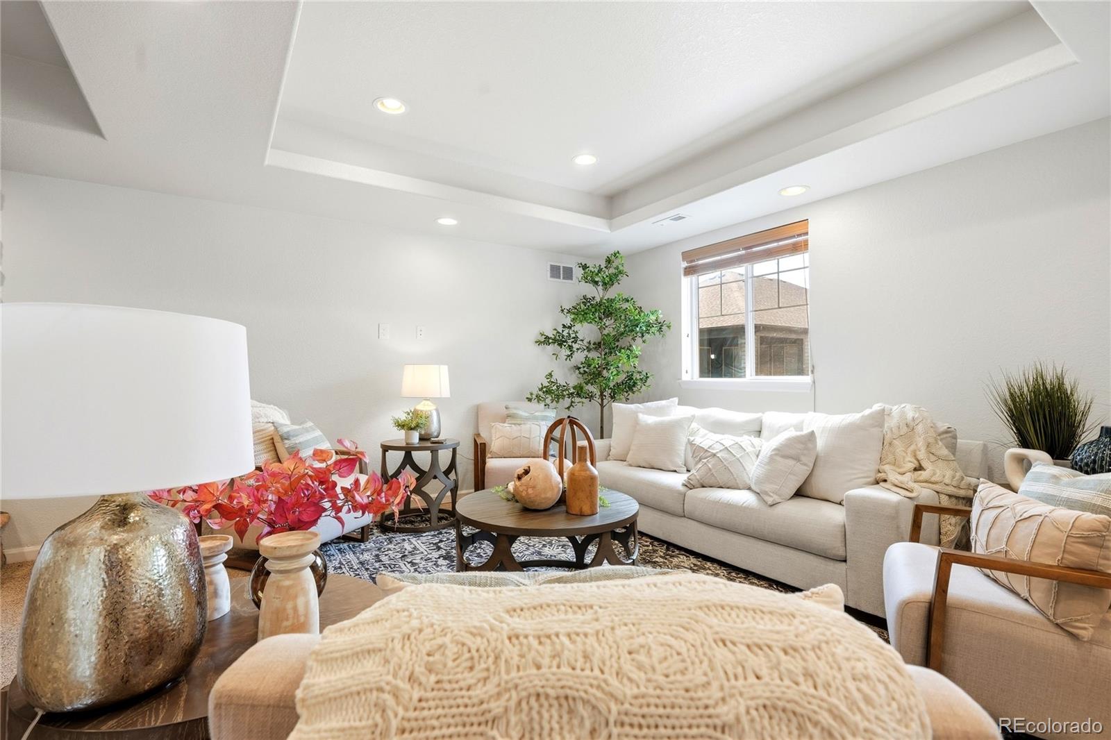 MLS Image #35 for 11379  lovage way,parker, Colorado