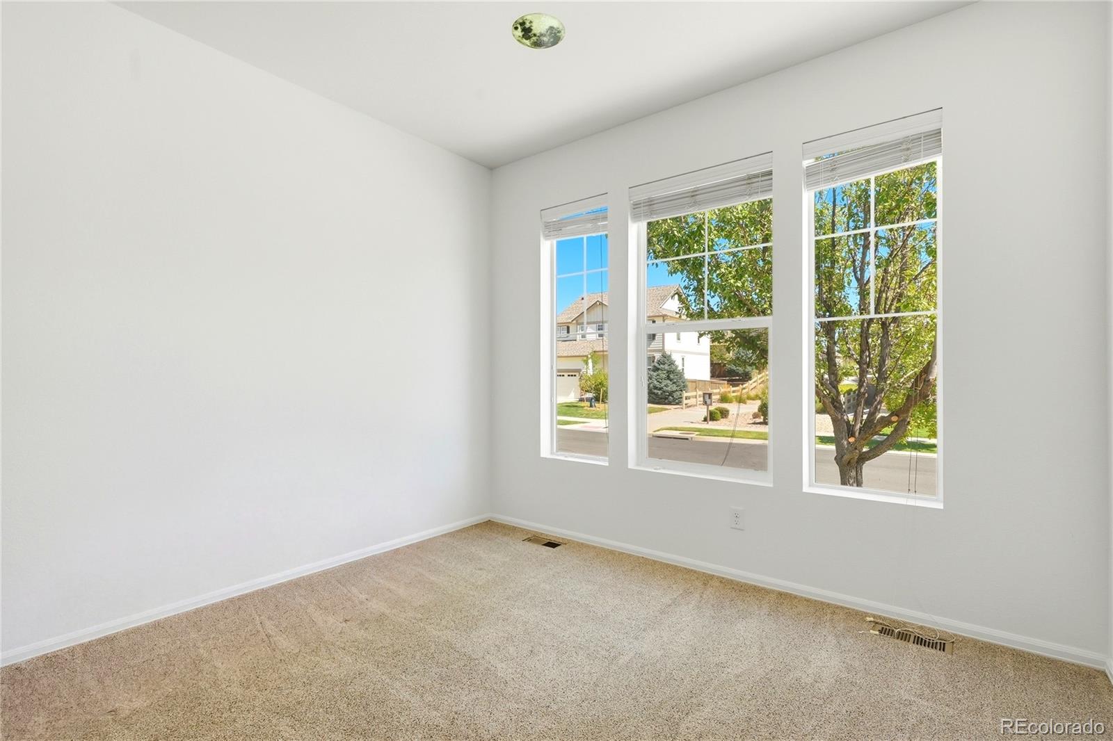 MLS Image #5 for 11379  lovage way,parker, Colorado