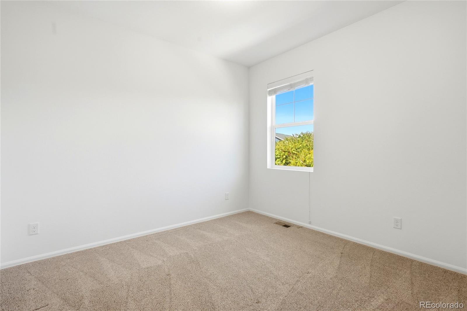 MLS Image #7 for 11379  lovage way,parker, Colorado