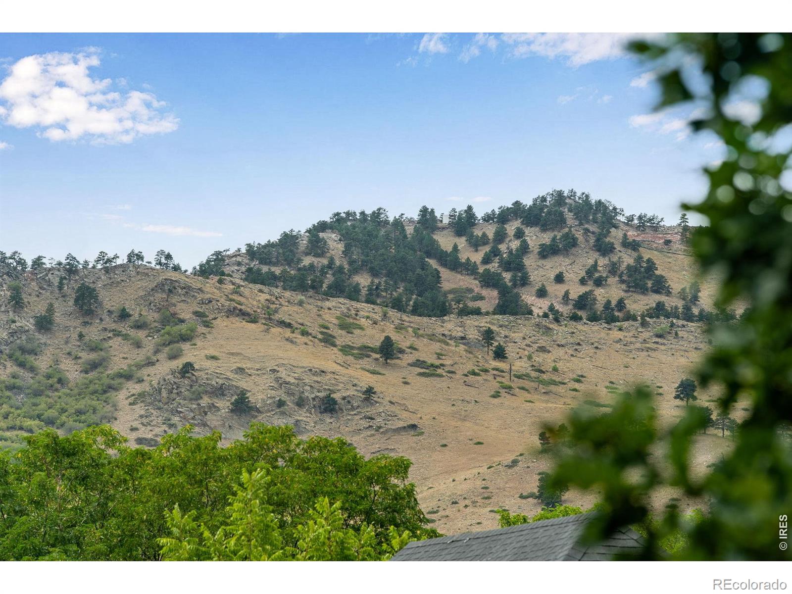 MLS Image #44 for 3955  broadway street,boulder, Colorado