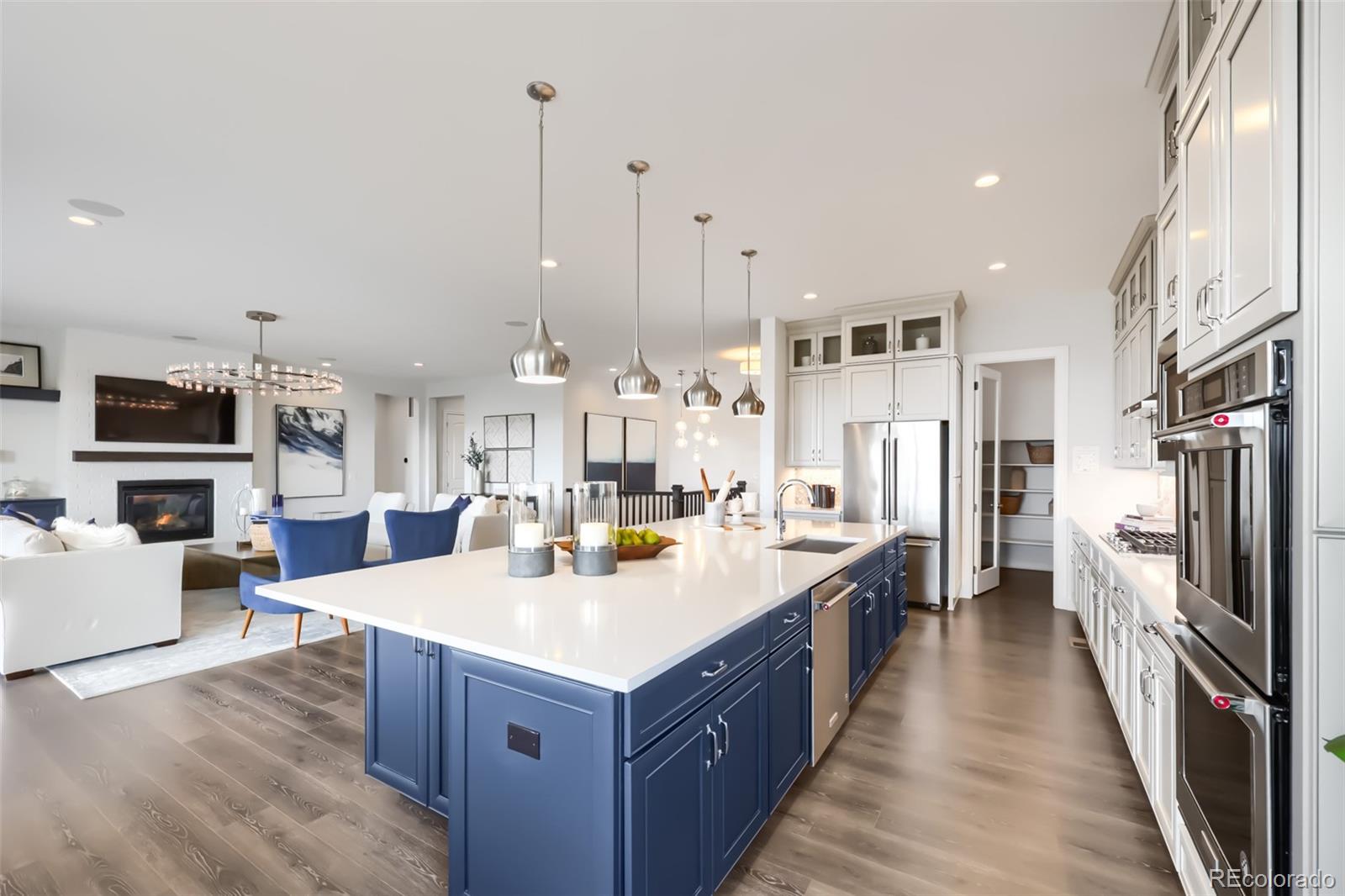 MLS Image #8 for 215  alumroot street,castle rock, Colorado