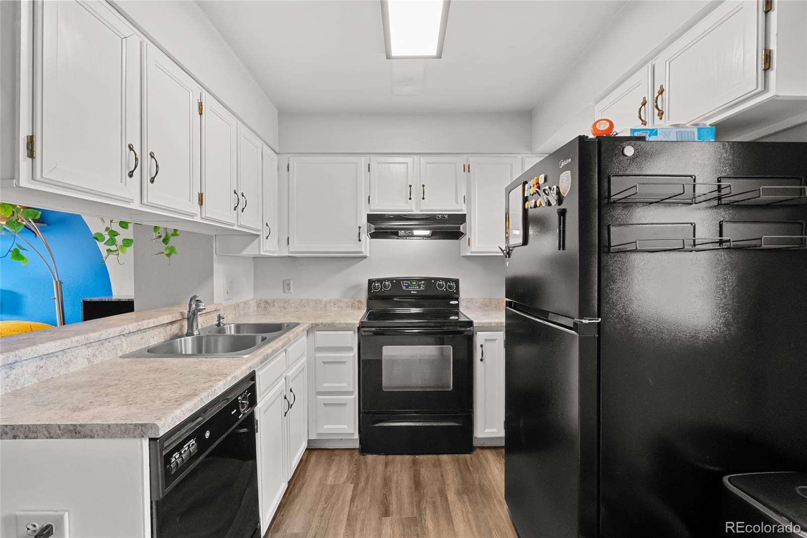 MLS Image #7 for 3405  queen anne way ,colorado springs, Colorado