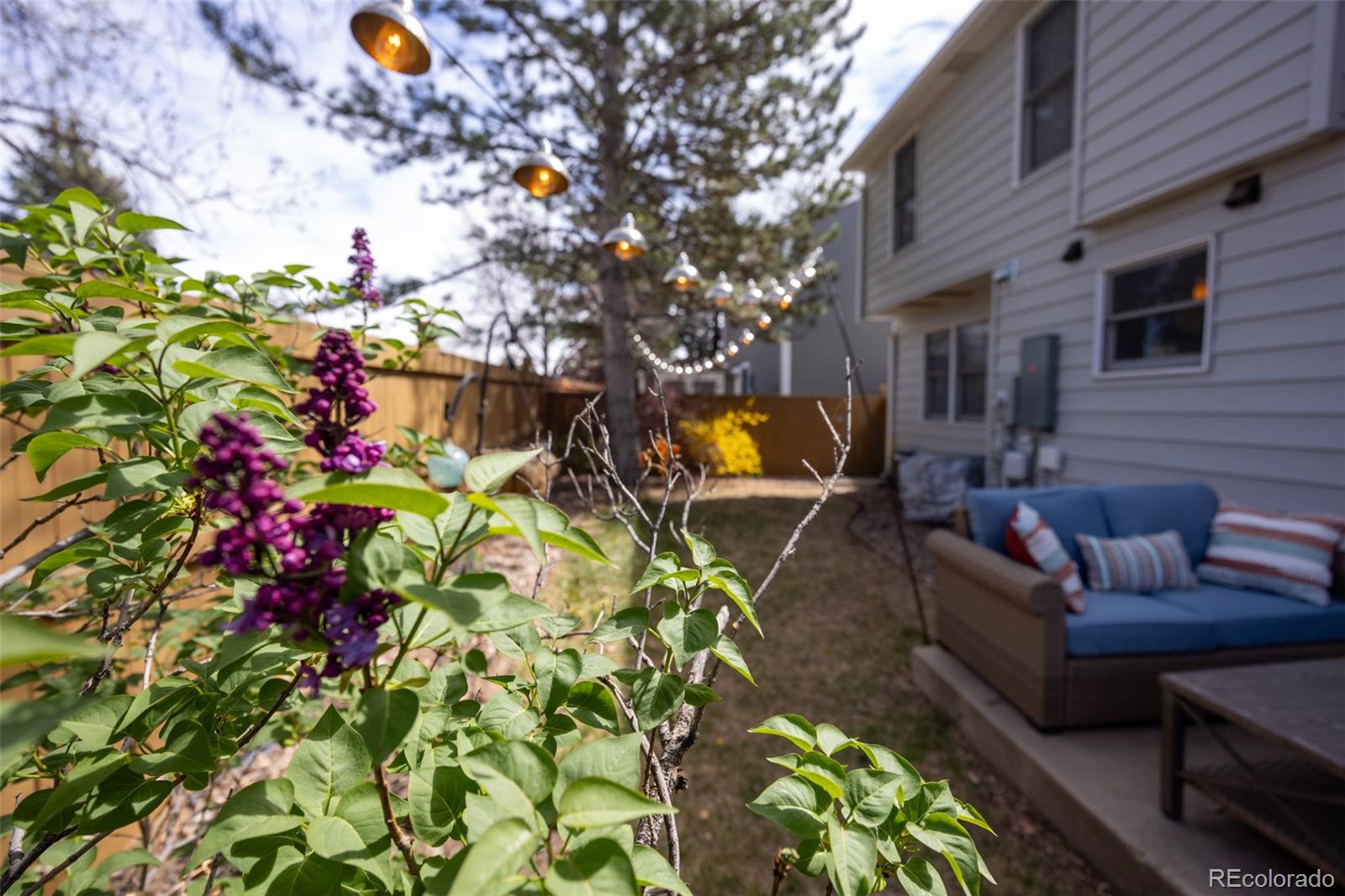 MLS Image #23 for 16821 e hialeah avenue,centennial, Colorado