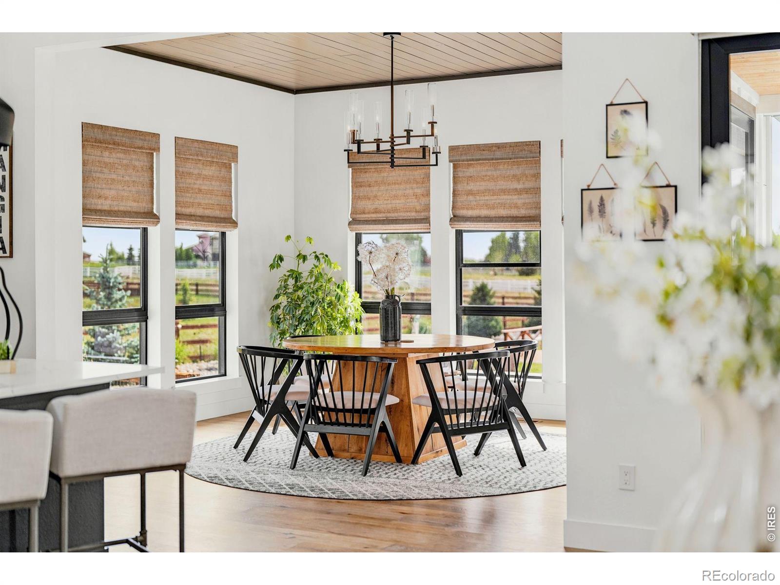 MLS Image #14 for 1907  spring bloom drive,windsor, Colorado
