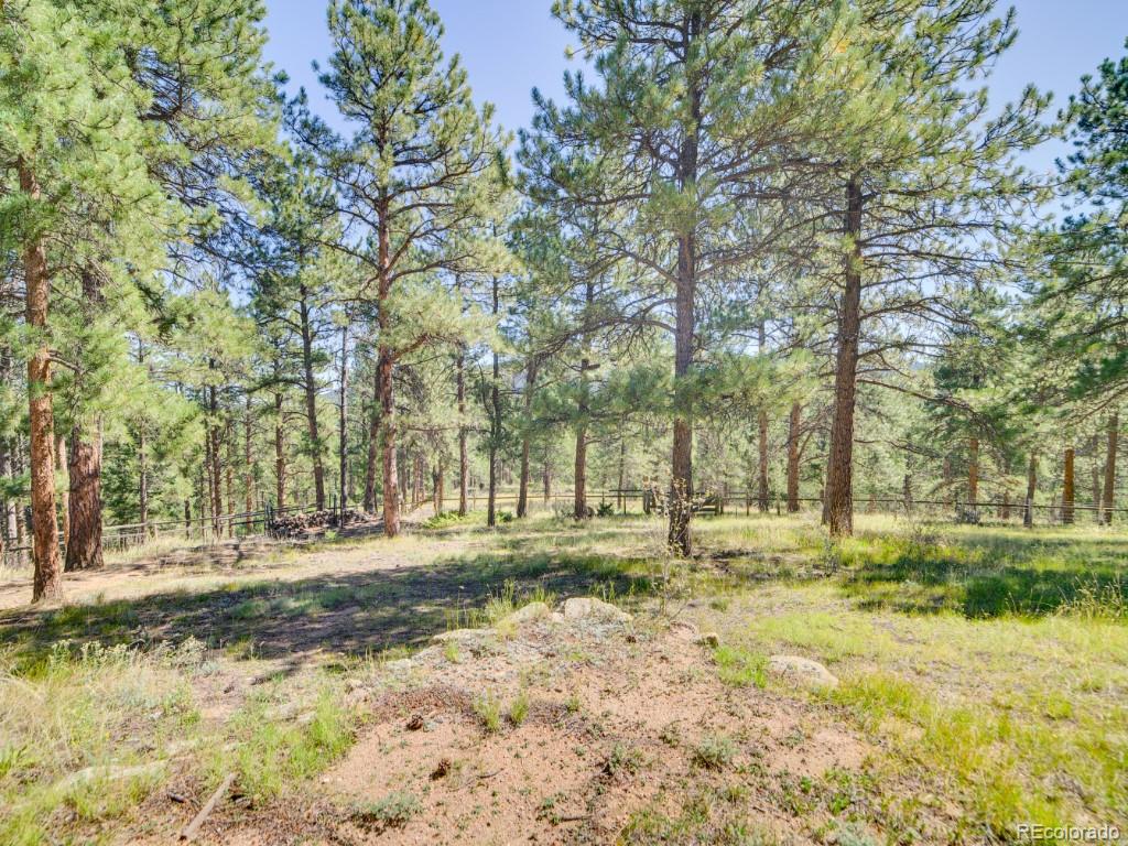 MLS Image #29 for 29203 & 29253  lee road,evergreen, Colorado
