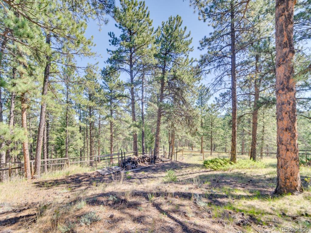 MLS Image #32 for 29203 & 29253  lee road,evergreen, Colorado