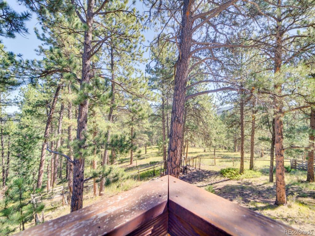 MLS Image #35 for 29203 & 29253  lee road,evergreen, Colorado