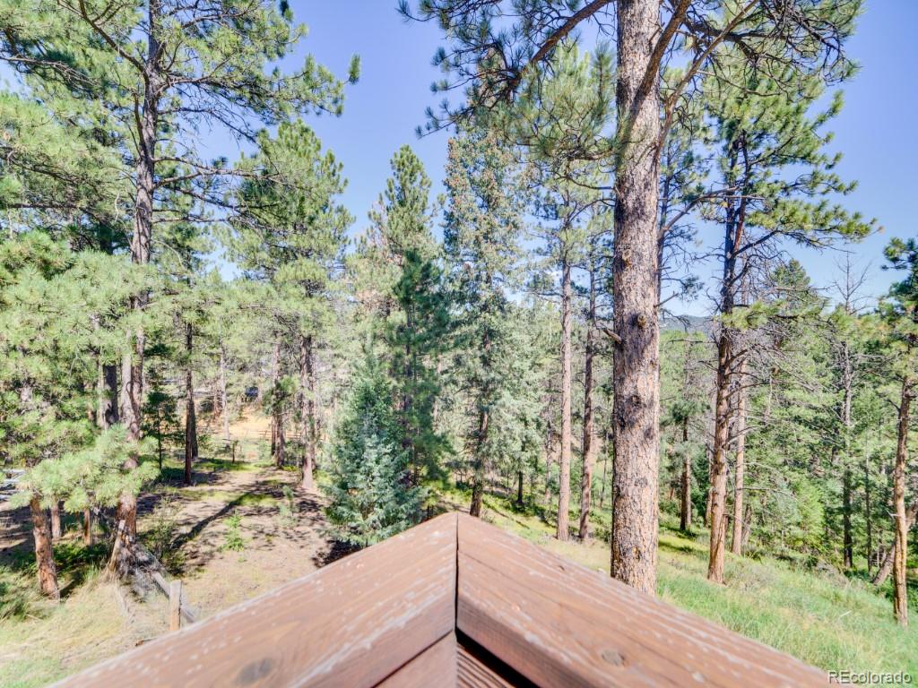 MLS Image #36 for 29203 & 29253  lee road,evergreen, Colorado
