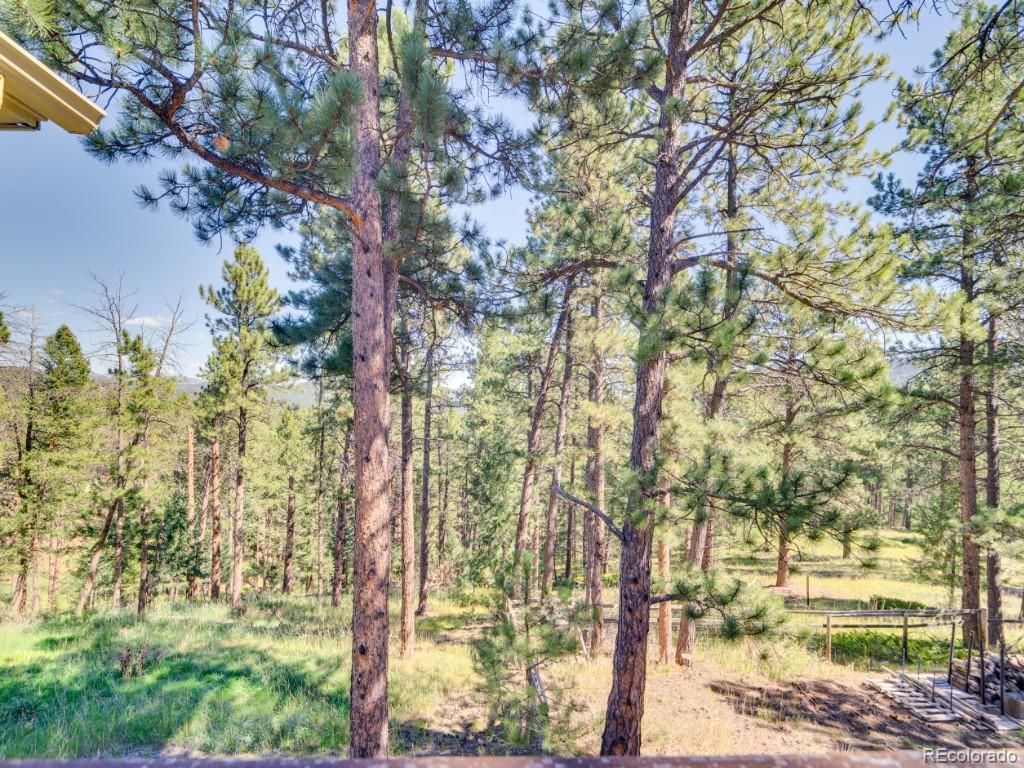 MLS Image #37 for 29203 & 29253  lee road,evergreen, Colorado