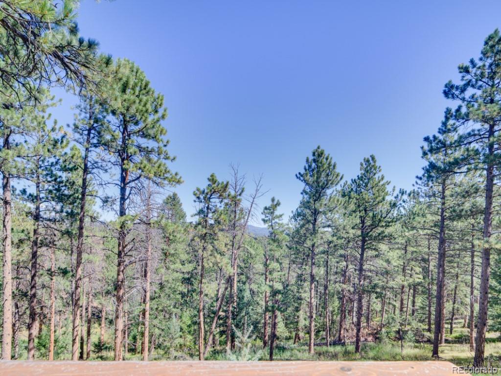 MLS Image #40 for 29203 & 29253  lee road,evergreen, Colorado