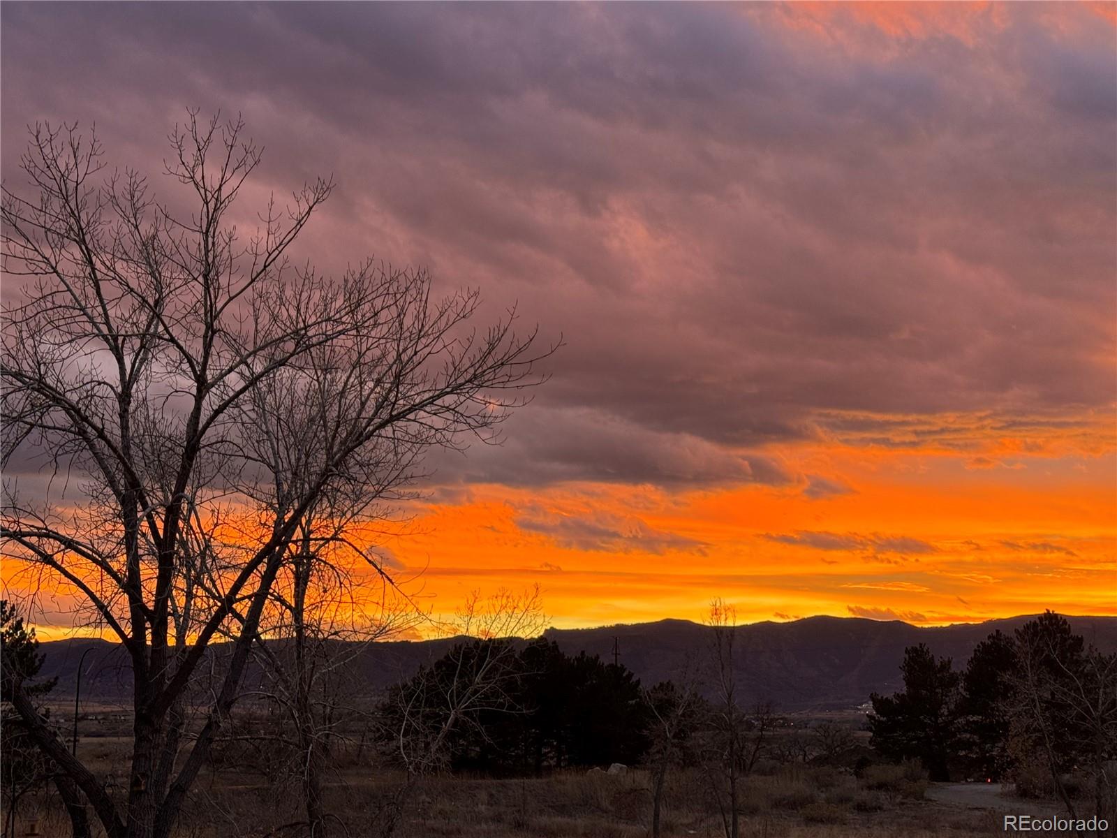 MLS Image #38 for 3763  bucknell drive,highlands ranch, Colorado