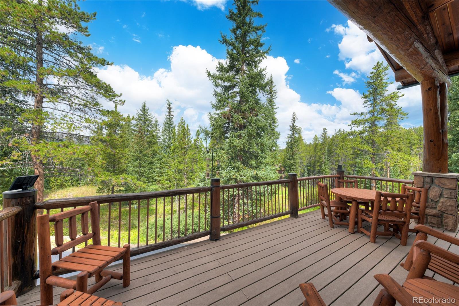 MLS Image #12 for 183  county road 534 ,breckenridge, Colorado