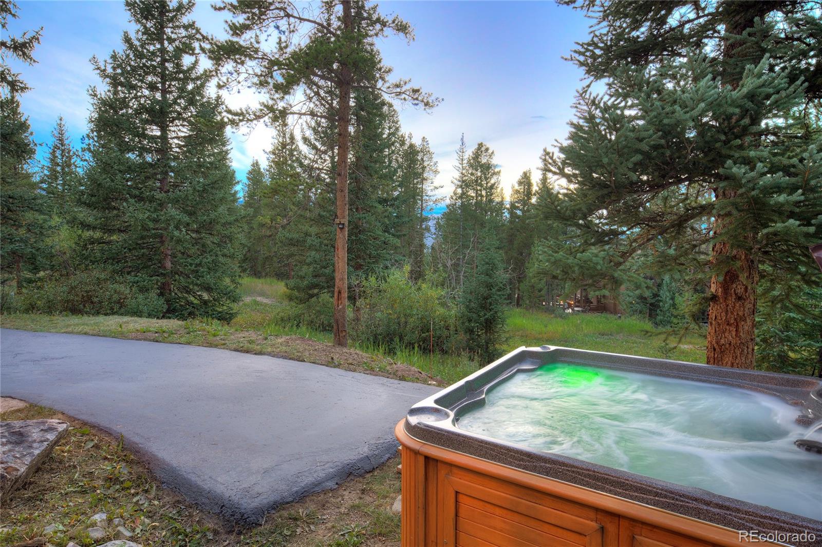MLS Image #49 for 183  county road 534 ,breckenridge, Colorado
