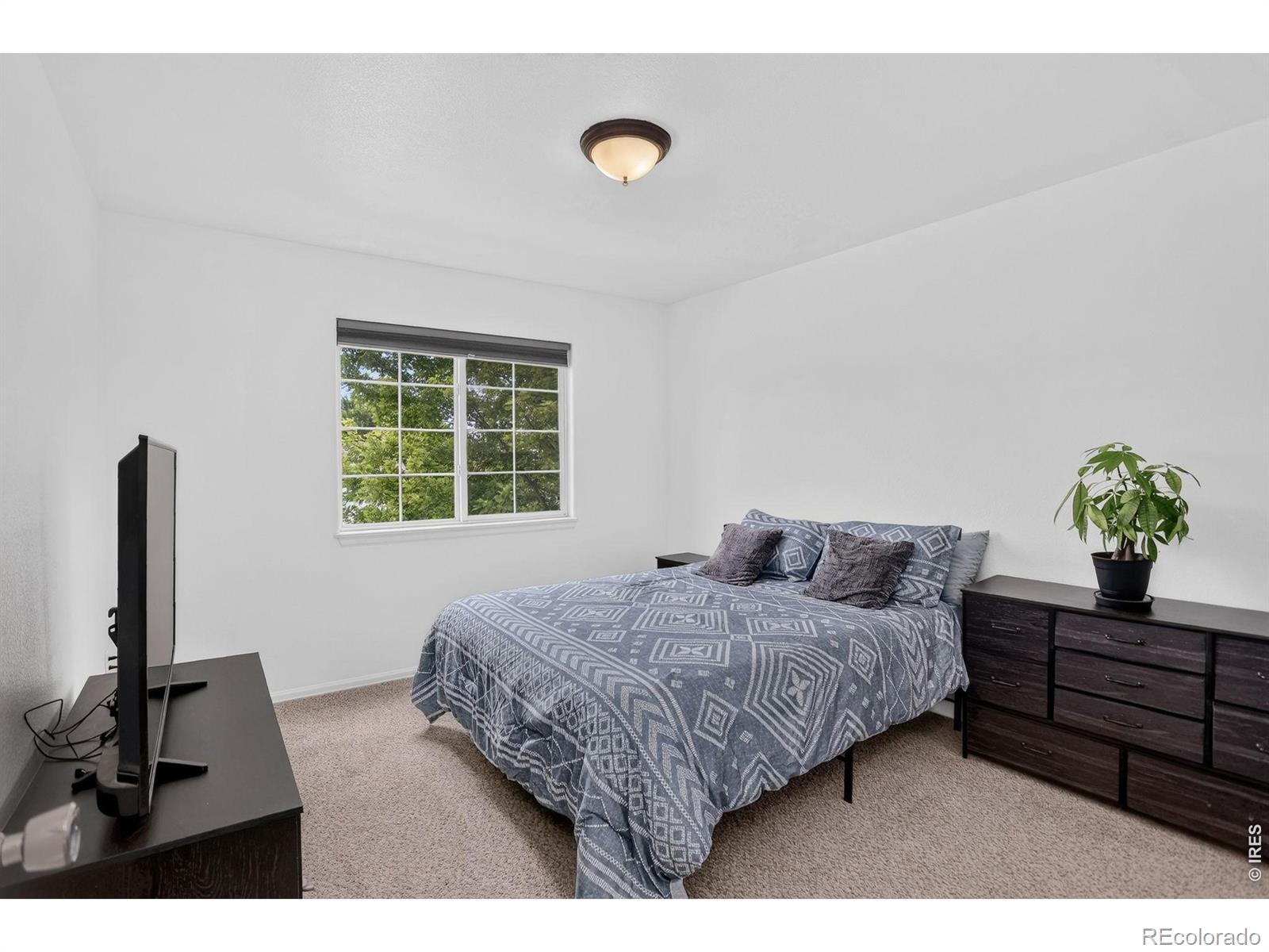 MLS Image #21 for 179  green teal drive,loveland, Colorado