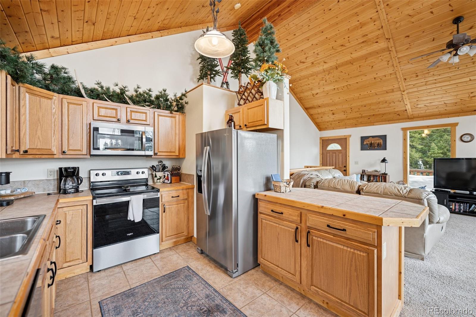 MLS Image #12 for 585  miners way,fairplay, Colorado