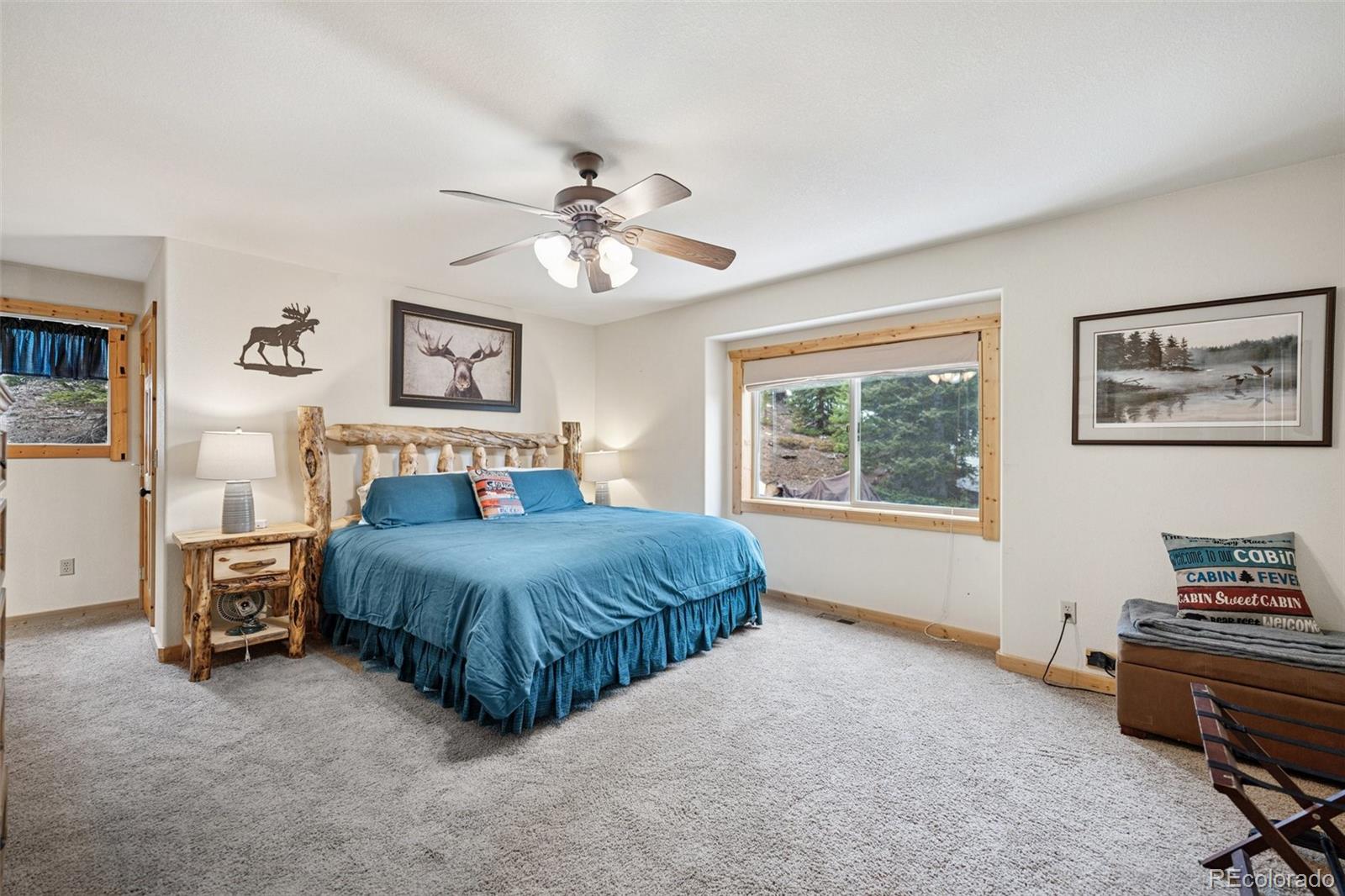 MLS Image #13 for 585  miners way,fairplay, Colorado
