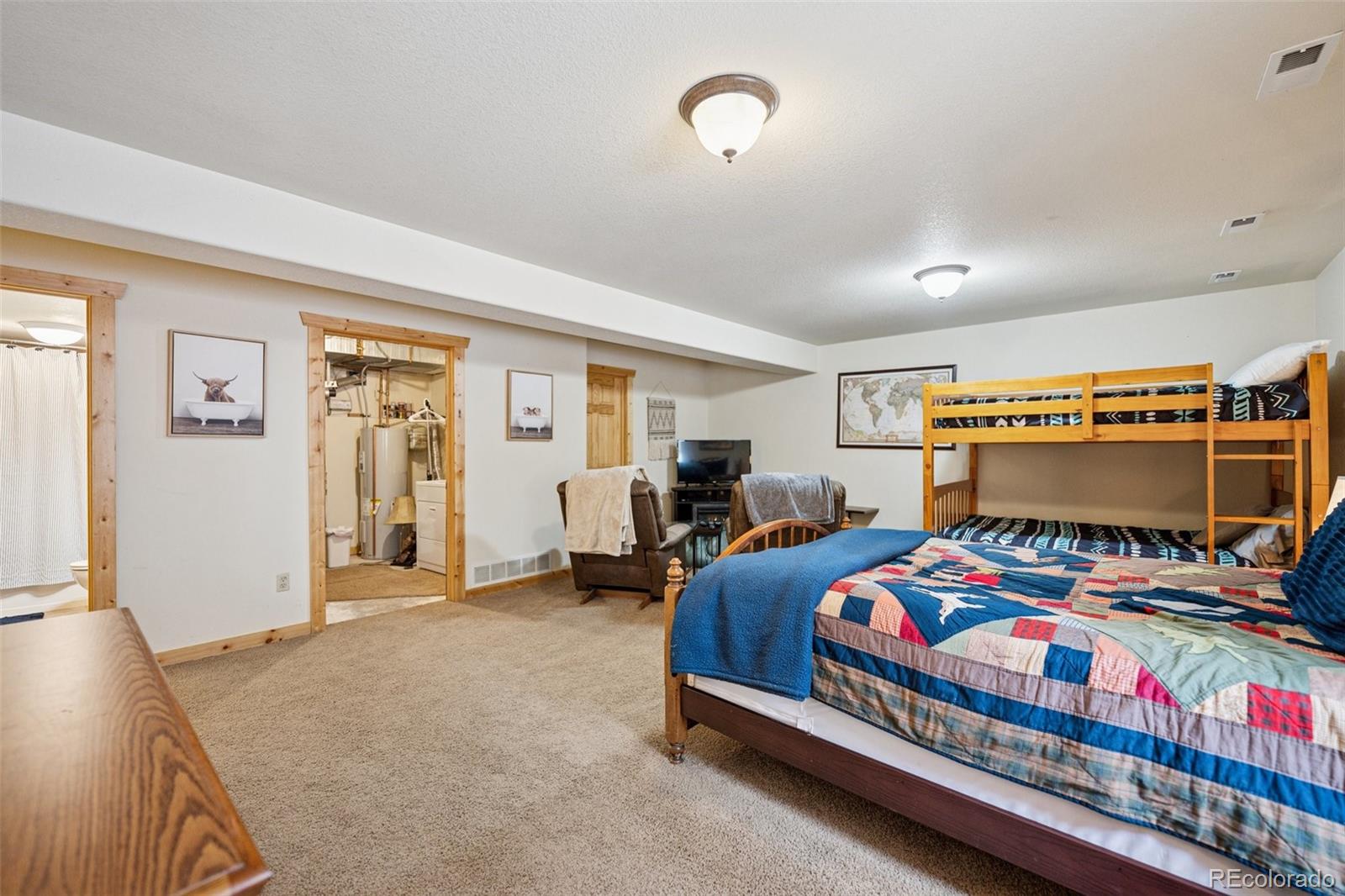 MLS Image #19 for 585  miners way,fairplay, Colorado