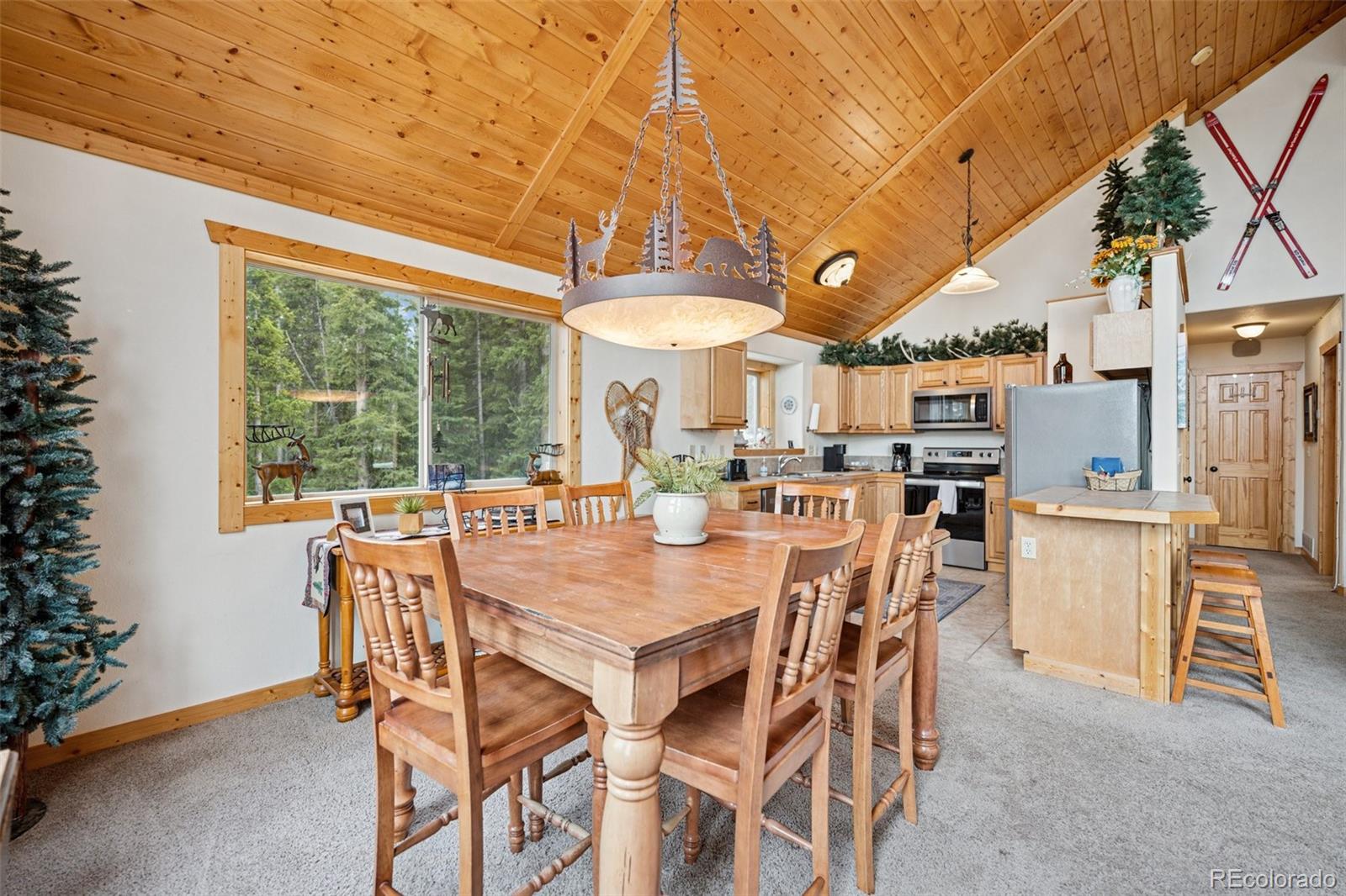 MLS Image #5 for 585  miners way,fairplay, Colorado