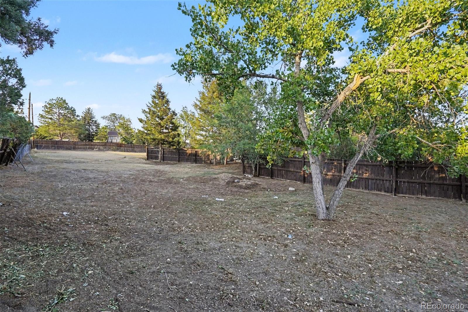 MLS Image #28 for 559  elbert way,denver, Colorado