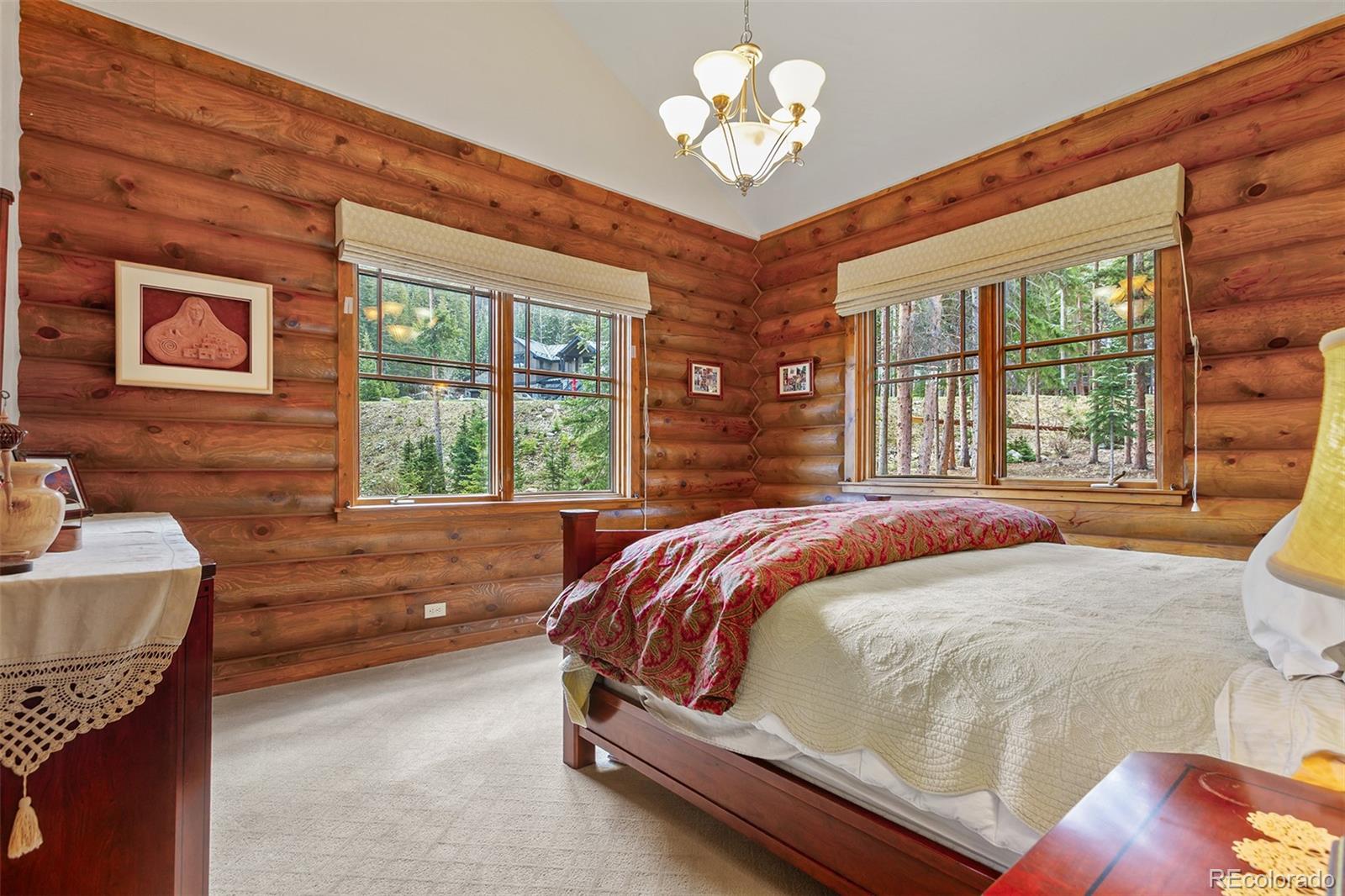 MLS Image #20 for 905  whispering pines circle,blue river, Colorado