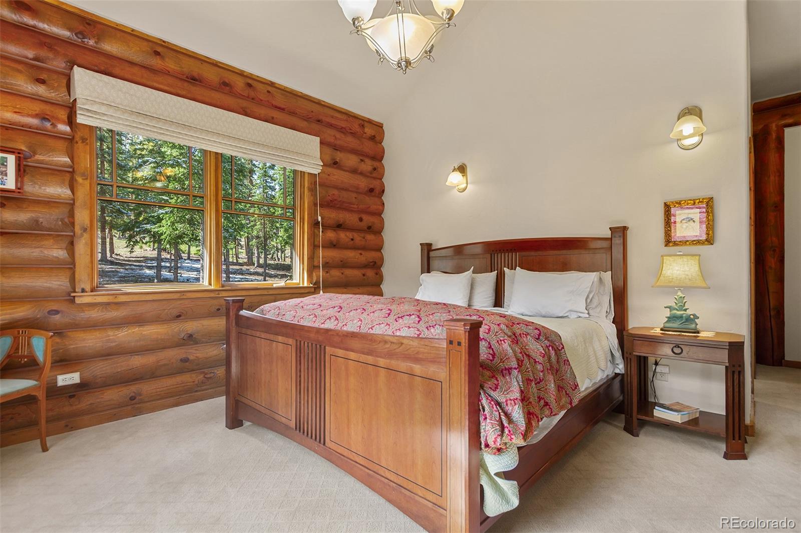 MLS Image #21 for 905  whispering pines circle,blue river, Colorado