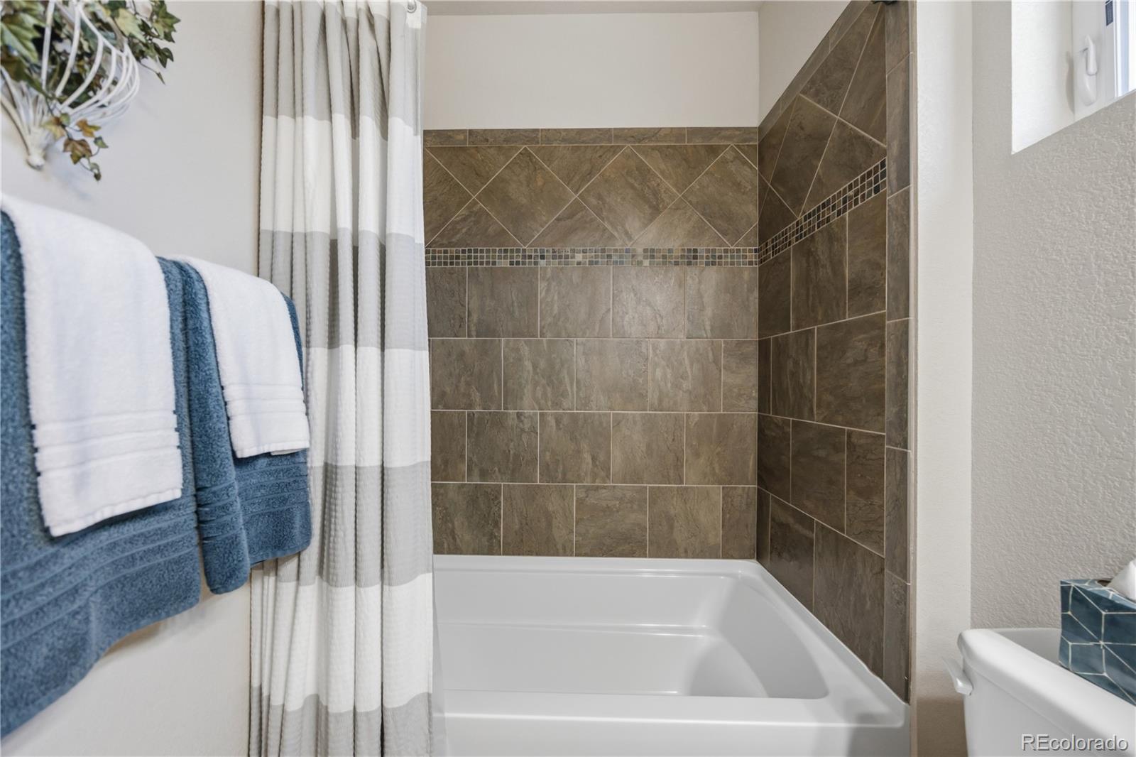 MLS Image #12 for 2162  montauk lane,windsor, Colorado