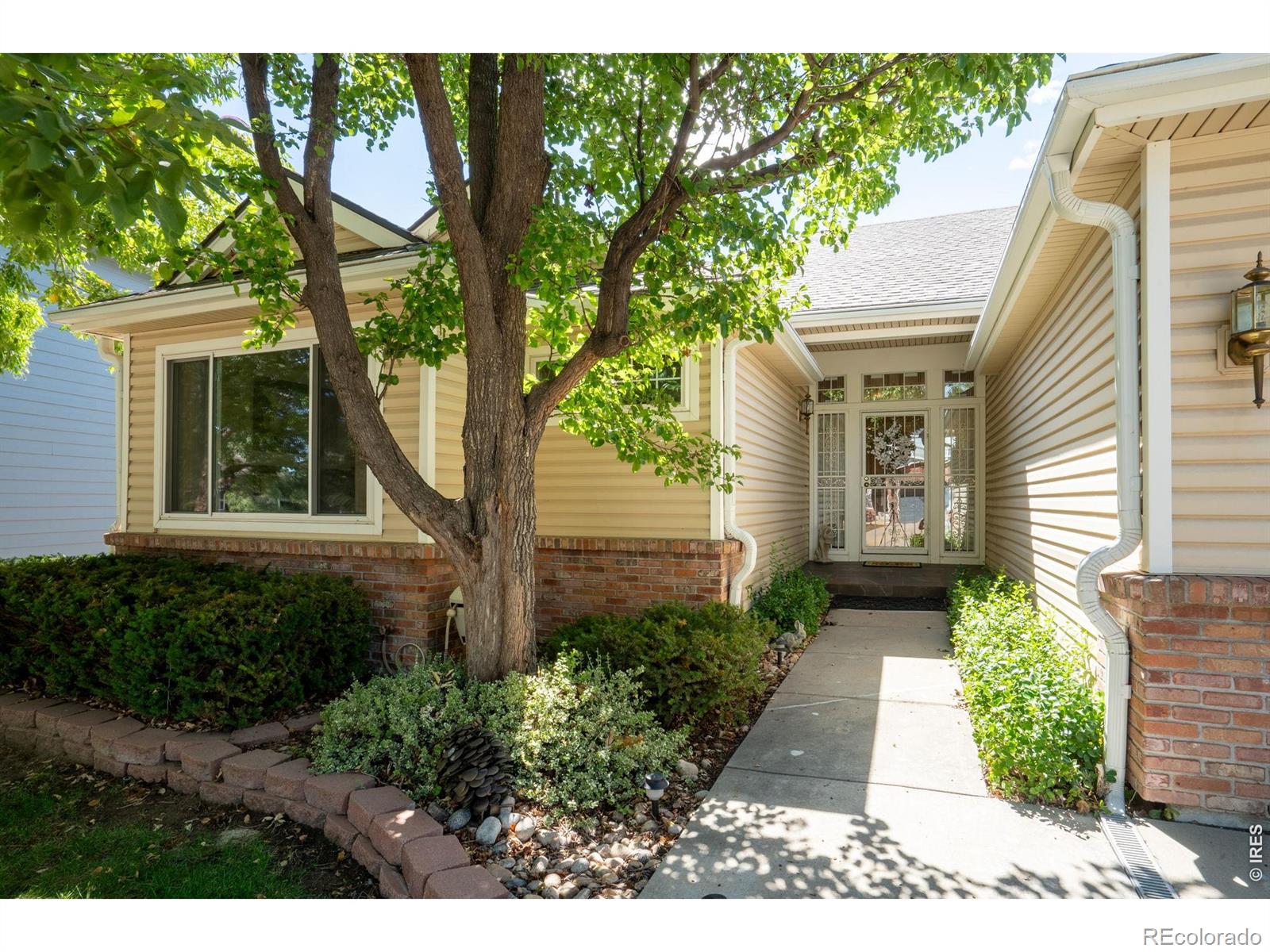 MLS Image #3 for 9837  grove circle,westminster, Colorado