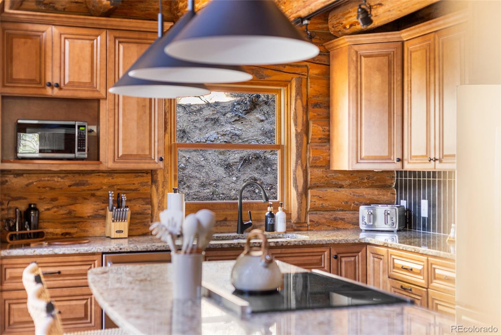MLS Image #11 for 80  spruce court,evergreen, Colorado