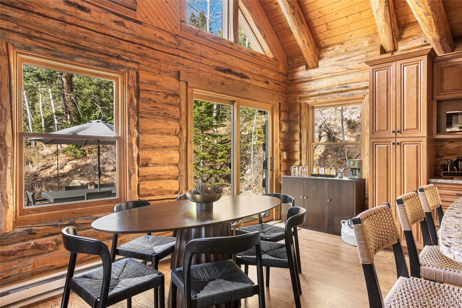 MLS Image #19 for 80  spruce court,evergreen, Colorado