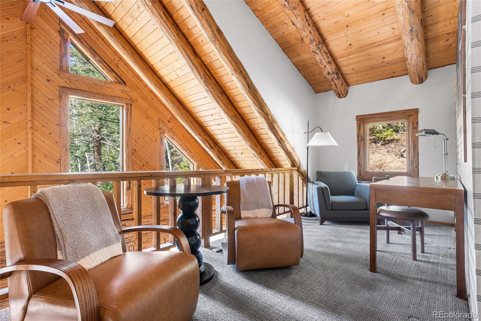 MLS Image #23 for 80  spruce court,evergreen, Colorado