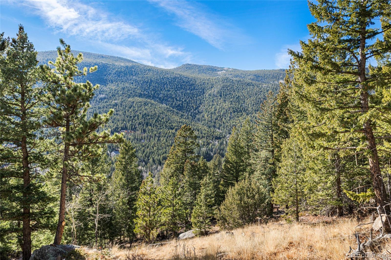 MLS Image #45 for 80  spruce court,evergreen, Colorado