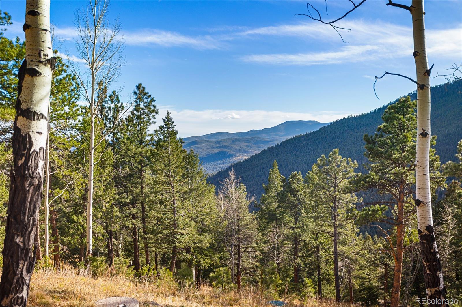 MLS Image #49 for 80  spruce court,evergreen, Colorado