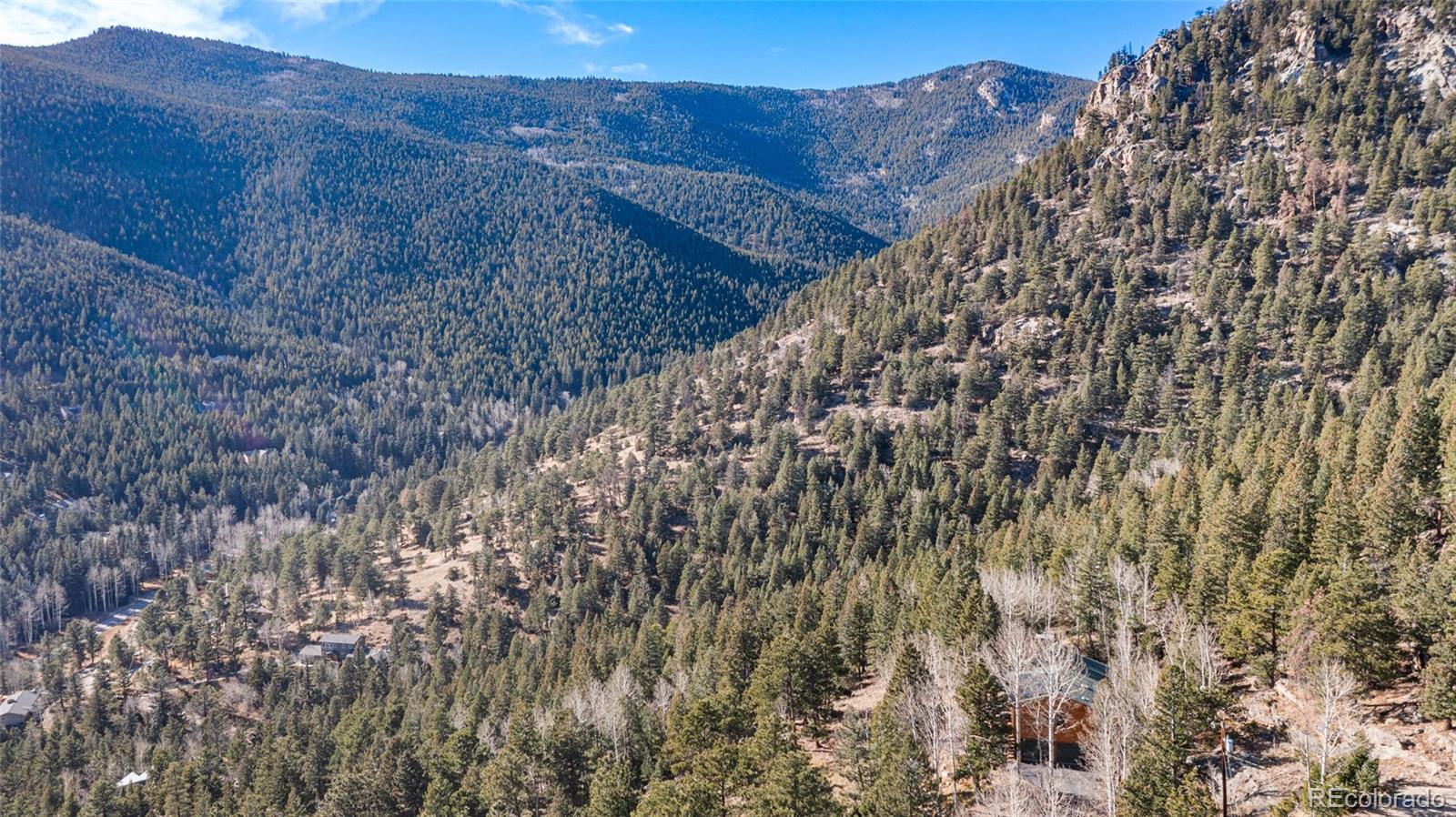 MLS Image #5 for 80  spruce court,evergreen, Colorado