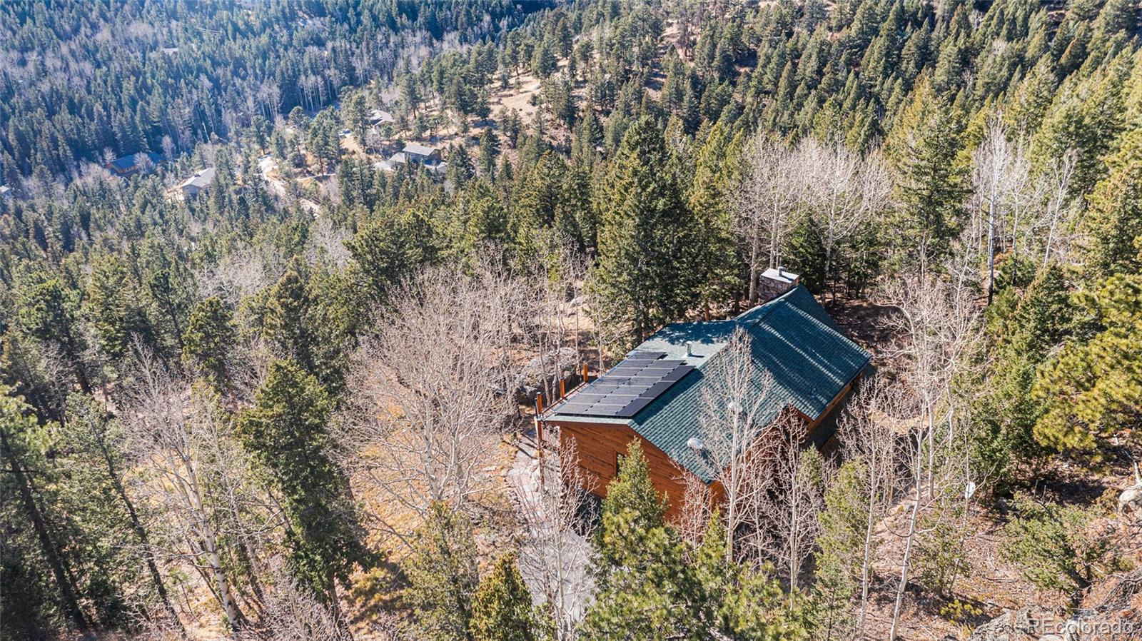 MLS Image #6 for 80  spruce court,evergreen, Colorado