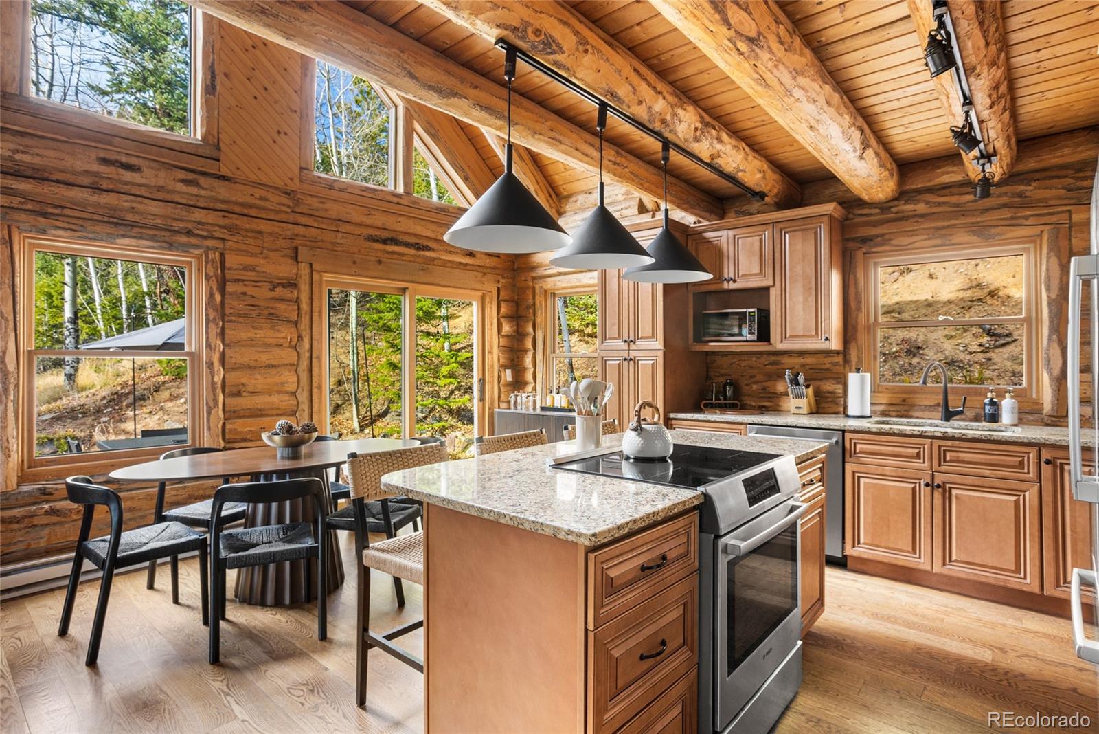 MLS Image #8 for 80  spruce court,evergreen, Colorado