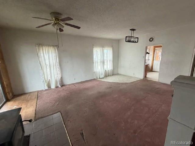 MLS Image #4 for 157  hurt street,center, Colorado