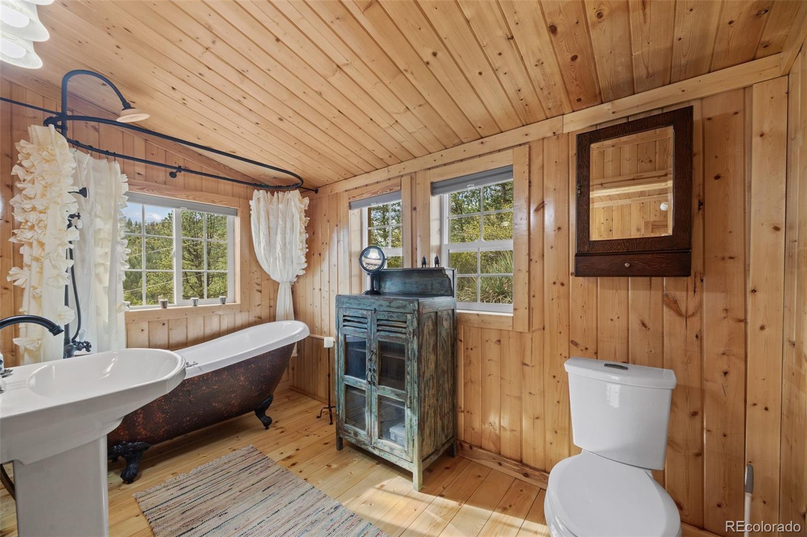 MLS Image #17 for 15761  navy hill road,pine, Colorado