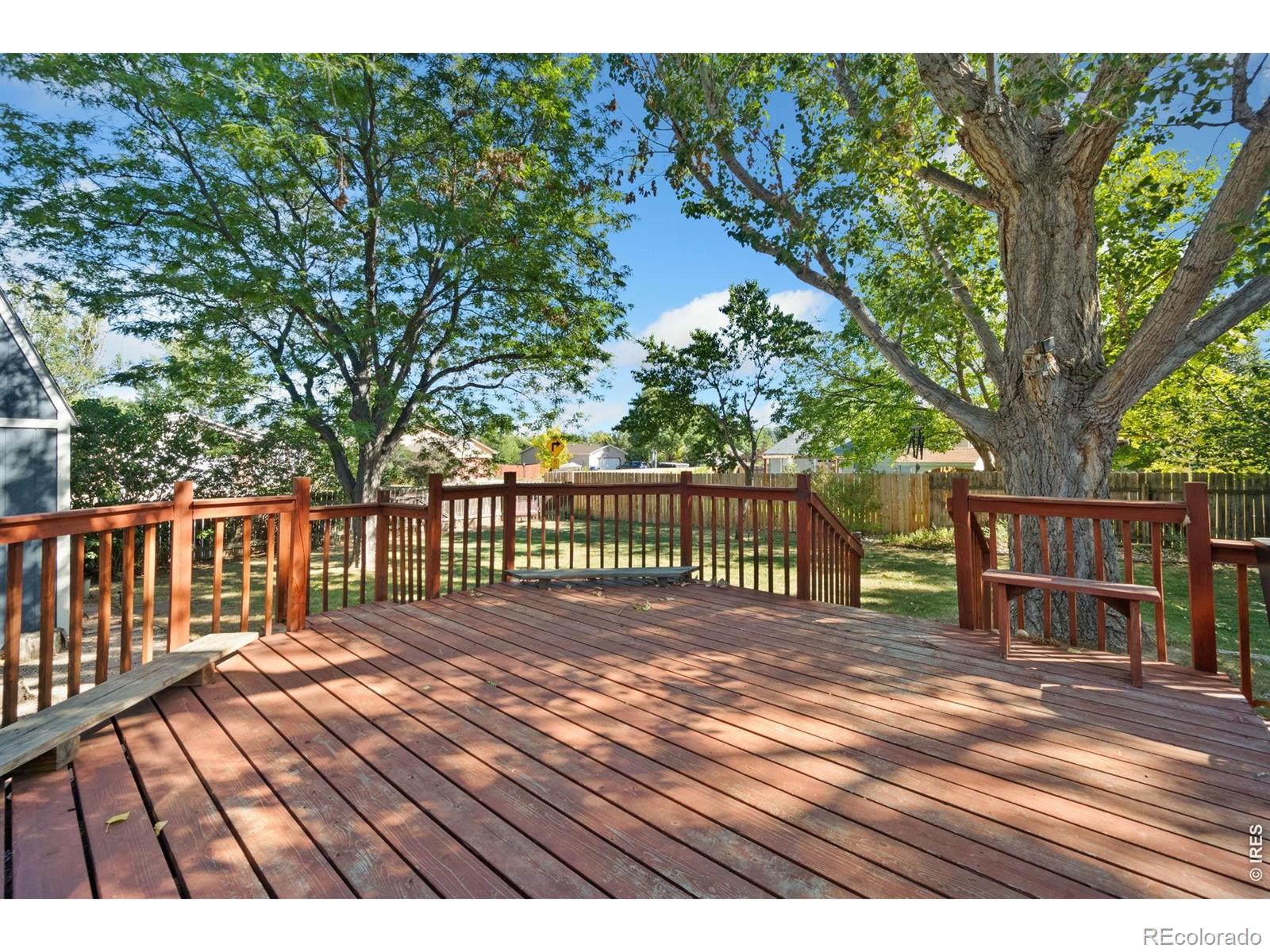 MLS Image #2 for 4050  niobe court,loveland, Colorado
