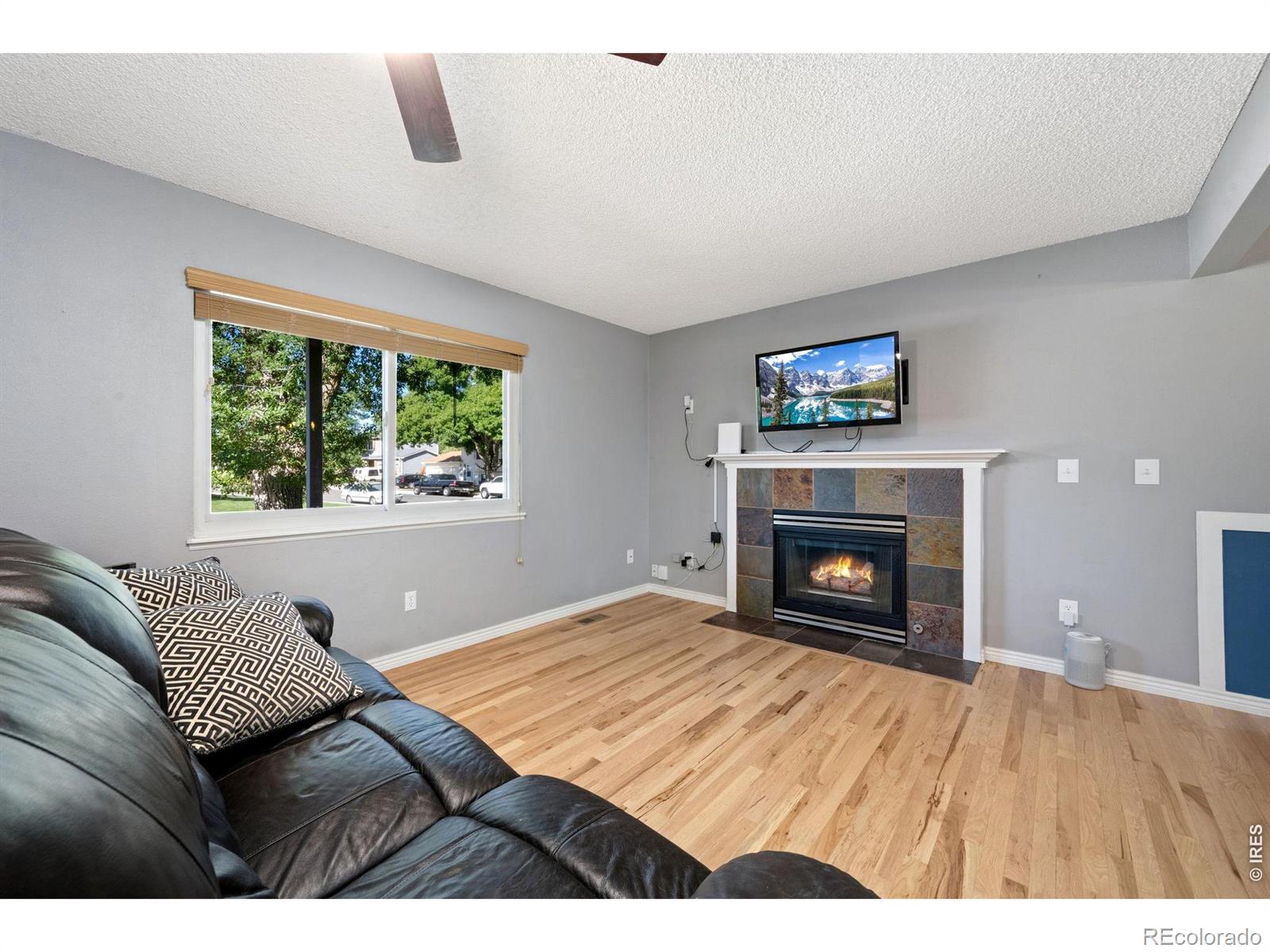 MLS Image #4 for 4050  niobe court,loveland, Colorado