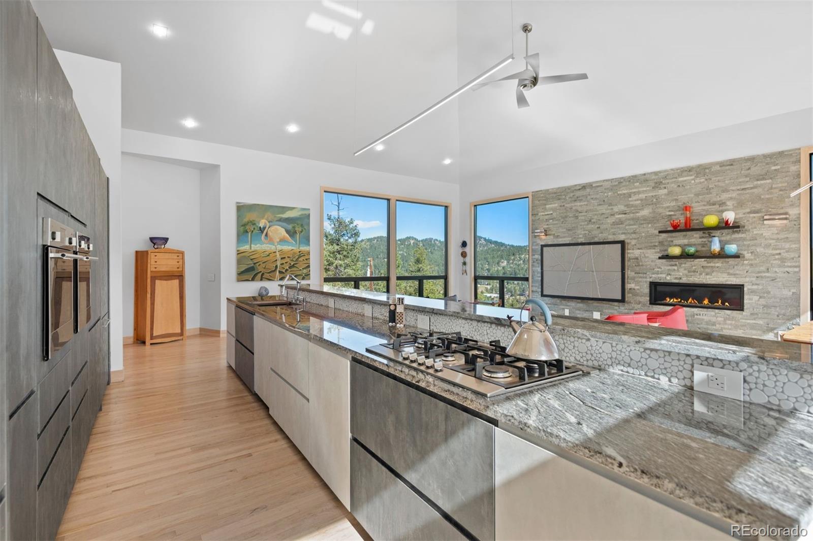 MLS Image #12 for 4600  forest hill road,evergreen, Colorado