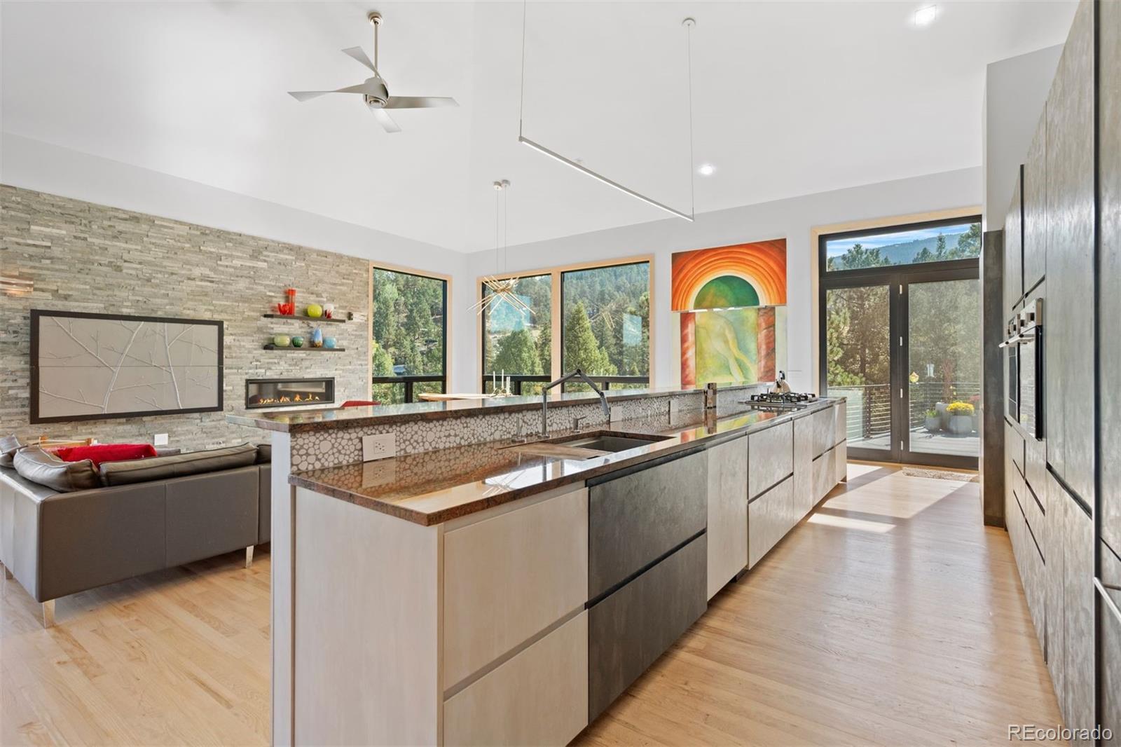 MLS Image #13 for 4600  forest hill road,evergreen, Colorado