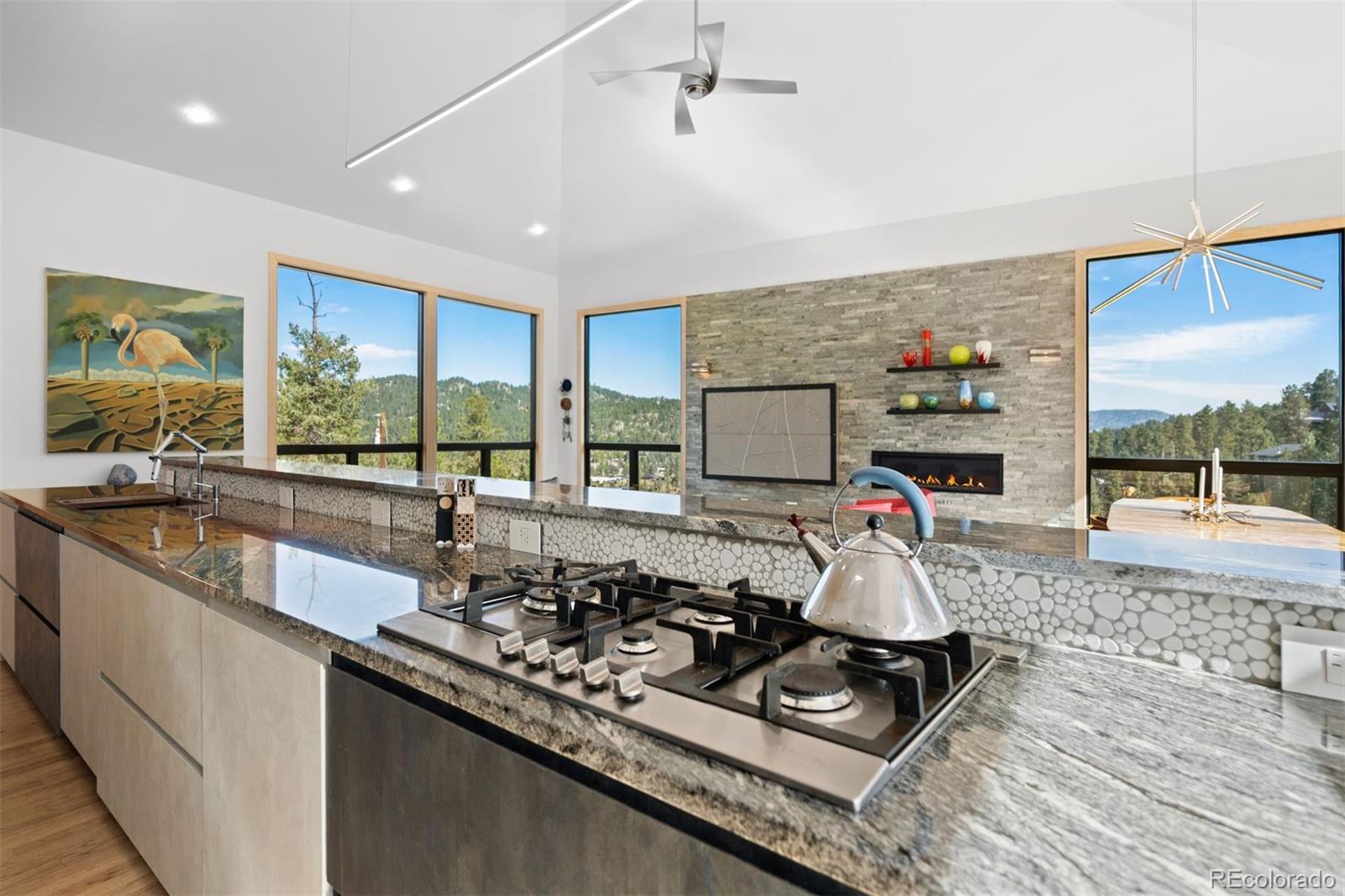 MLS Image #14 for 4600  forest hill road,evergreen, Colorado