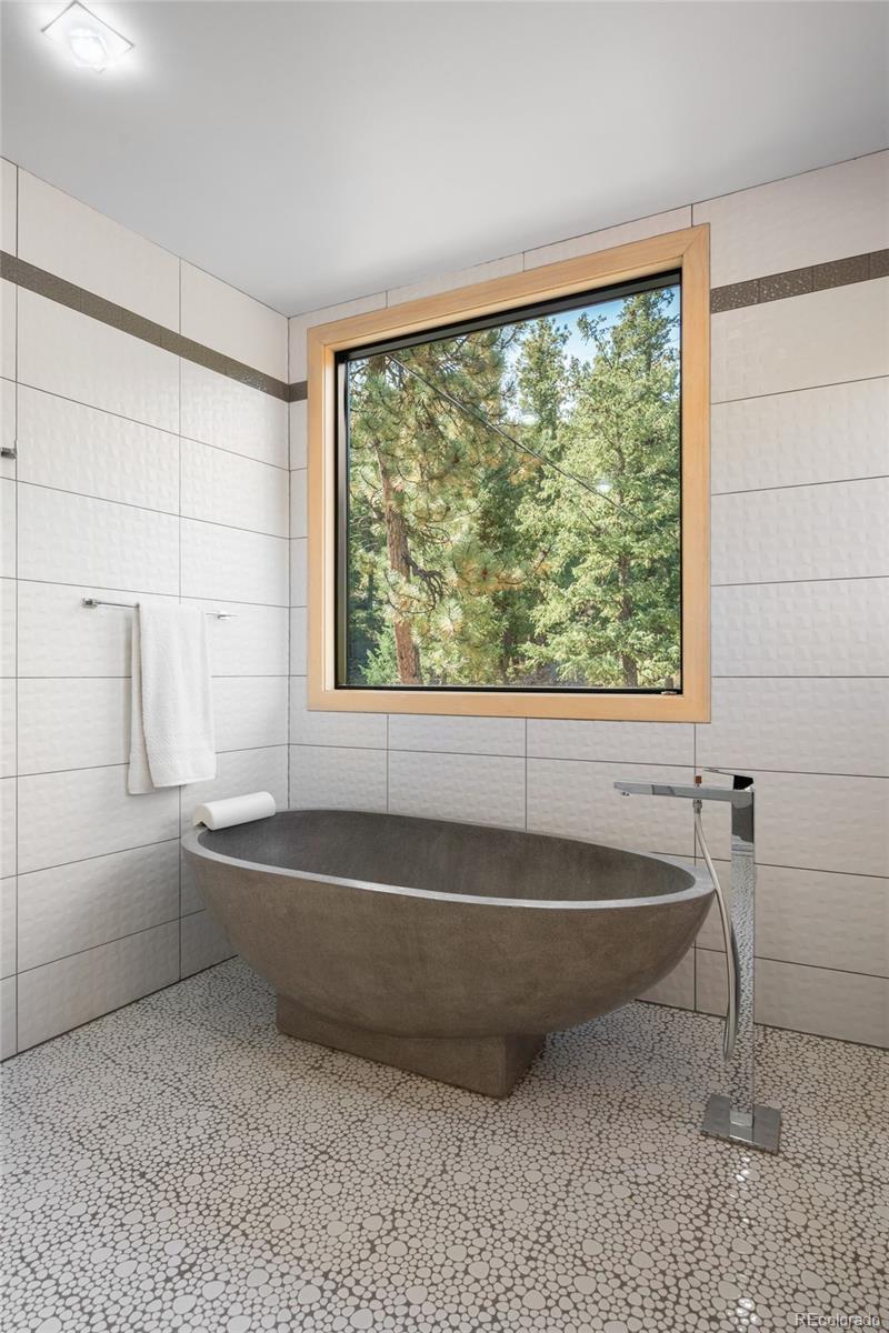 MLS Image #23 for 4600  forest hill road,evergreen, Colorado