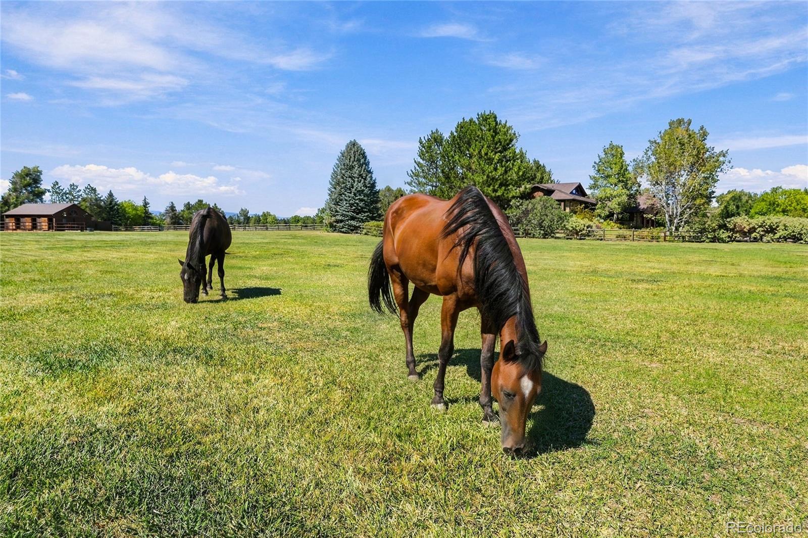 MLS Image #45 for 10077 n 75th street,longmont, Colorado